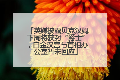 英媒披露贝克汉姆下周将获封“爵士”，白金汉宫与首相办公室暂未回应