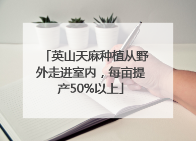 英山天麻种植从野外走进室内，每亩提产50%以上