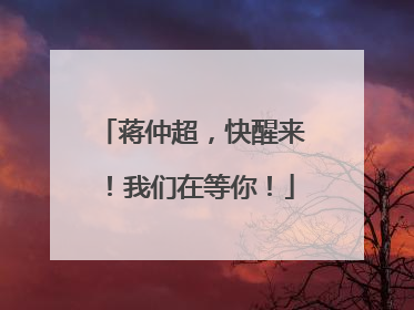 蒋仲超，快醒来！我们在等你！