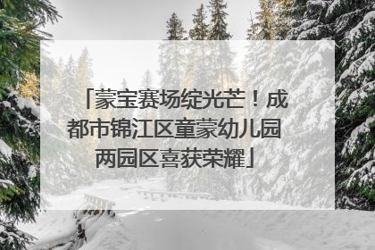 蒙宝赛场绽光芒！成都市锦江区童蒙幼儿园两园区喜获荣耀
