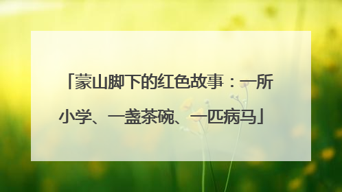 蒙山脚下的红色故事：一所小学、一盏茶碗、一匹病马