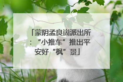 蒙阴孟良崮派出所：“小推车”推出平安好“枫”景