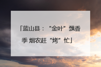 蓝山县：“金叶”飘香季 烟农赶“烤”忙