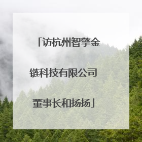 访杭州智擎金链科技有限公司董事长和扬扬