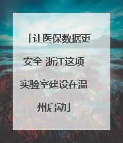 让医保数据更安全 浙江这项实验室建设在温州启动
