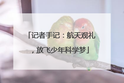 记者手记：航天观礼，放飞少年科学梦