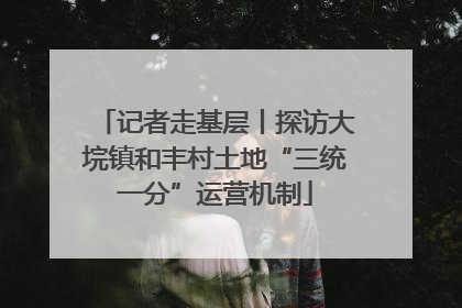 记者走基层丨探访大垸镇和丰村土地“三统一分”运营机制