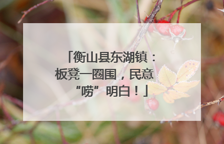 衡山县东湖镇：板凳一圈围，民意“唠”明白！