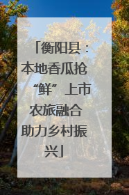 衡阳县：本地香瓜抢“鲜”上市 农旅融合助力乡村振兴