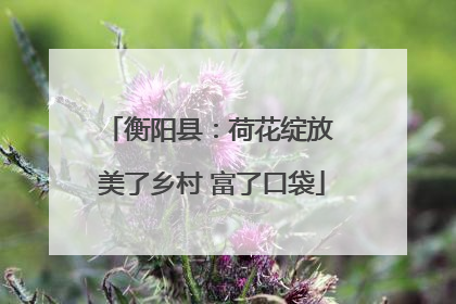 衡阳县：荷花绽放 美了乡村 富了口袋