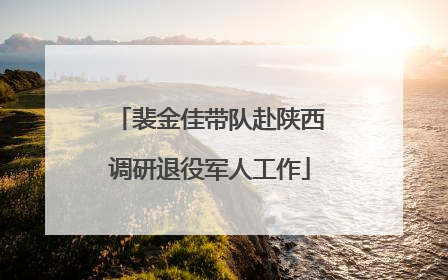 裴金佳带队赴陕西调研退役军人工作