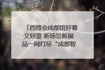 西博会成都馆好看又好耍 新场景新展品一网打尽“成都智造”｜西博视界