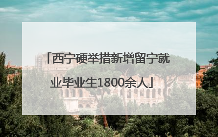 西宁硬举措新增留宁就业毕业生1800余人