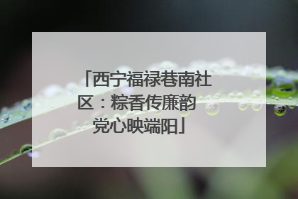西宁福禄巷南社区：粽香传廉韵 党心映端阳