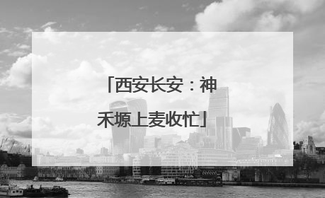 西安长安：神禾塬上麦收忙