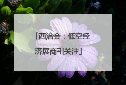 西洽会：低空经济展商引关注