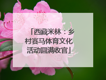 西藏米林：乡村赛马体育文化活动圆满收官