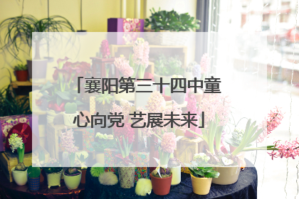 襄阳第三十四中童心向党 艺展未来