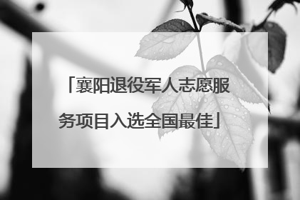 襄阳退役军人志愿服务项目入选全国最佳