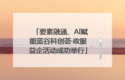 要素融通、AI赋能蓝谷科创荟·政服益企活动成功举行