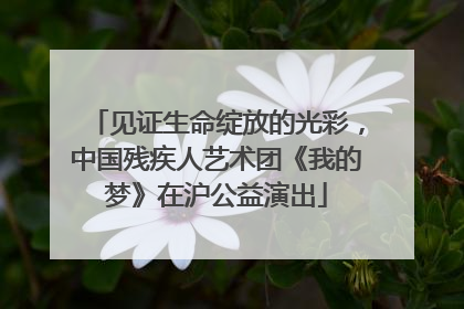 见证生命绽放的光彩，中国残疾人艺术团《我的梦》在沪公益演出