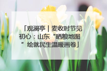 观澜亭｜麦收时节见初心：山东“晒粮地图”绘就民生温暖画卷