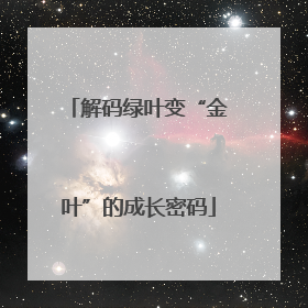 解码绿叶变“金叶”的成长密码