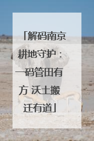 解码南京耕地守护：一码管田有方 沃土搬迁有道