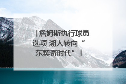 詹姆斯执行球员选项 湖人转向“东契奇时代”