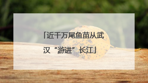 近千万尾鱼苗从武汉“游进”长江