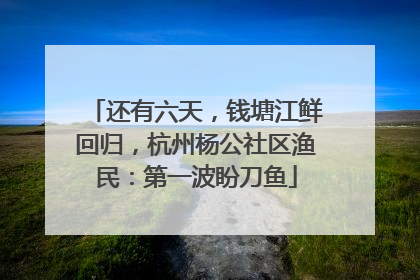 还有六天，钱塘江鲜回归，杭州杨公社区渔民：第一波盼刀鱼