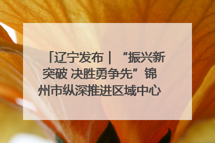 辽宁发布｜“振兴新突破 决胜勇争先”锦州市纵深推进区域中心城市建设 打造高质量发展新增长极