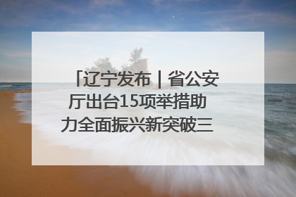 辽宁发布｜省公安厅出台15项举措助力全面振兴新突破三年行动决胜之战