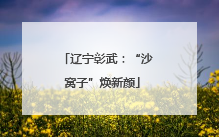 辽宁彰武：“沙窝子”焕新颜