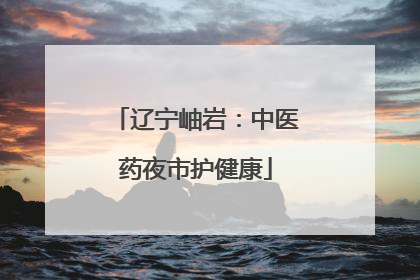 辽宁岫岩：中医药夜市护健康