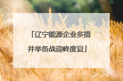 辽宁能源企业多措并举备战迎峰度夏