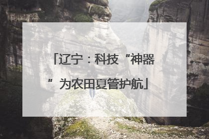 辽宁：科技“神器”为农田夏管护航