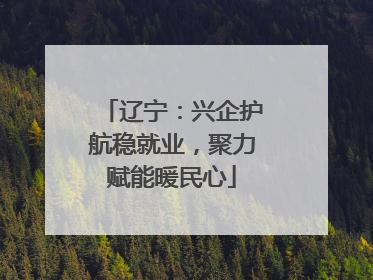 辽宁：兴企护航稳就业，聚力赋能暖民心