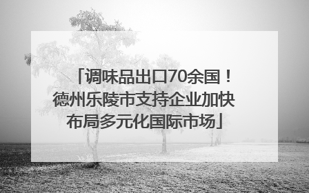 调味品出口70余国！德州乐陵市支持企业加快布局多元化国际市场