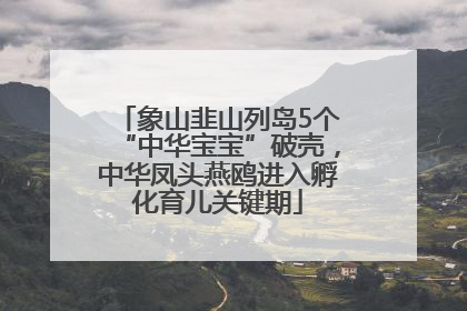 象山韭山列岛5个“中华宝宝”破壳，中华凤头燕鸥进入孵化育儿关键期