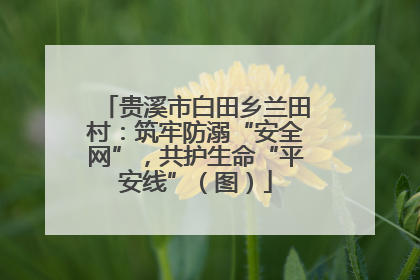 贵溪市白田乡兰田村：筑牢防溺“安全网”，共护生命“平安线”（图）