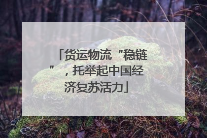 货运物流“稳链”，托举起中国经济复苏活力