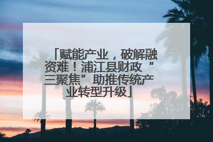 赋能产业，破解融资难！浦江县财政“三聚焦”助推传统产业转型升级