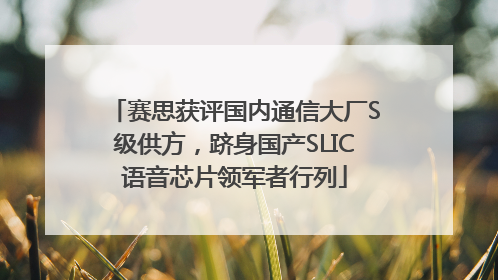 赛思获评国内通信大厂S级供方，跻身国产SLIC语音芯片领军者行列