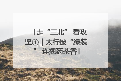 走“三北” 看攻坚①｜太行披“绿装” 连翘药茶香