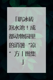 趴冰砖 泡水池！成都动物园里的消暑“凉”方丨图集