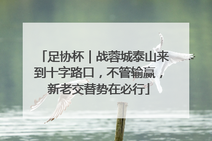足协杯｜战蓉城泰山来到十字路口，不管输赢，新老交替势在必行