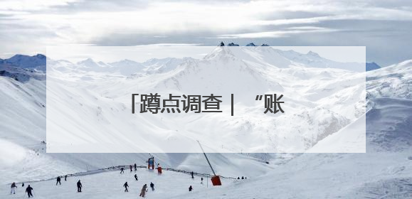 蹲点调查｜“账本”里头话振兴