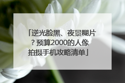 逆光脸黑、夜景糊片？预算2000的人像拍摄手机攻略清单