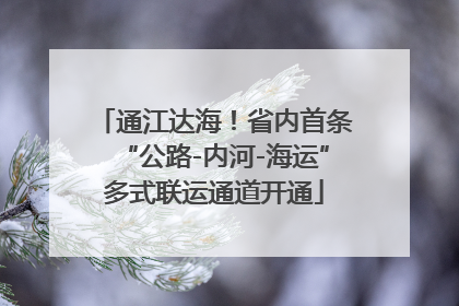 通江达海！省内首条“公路-内河-海运”多式联运通道开通
